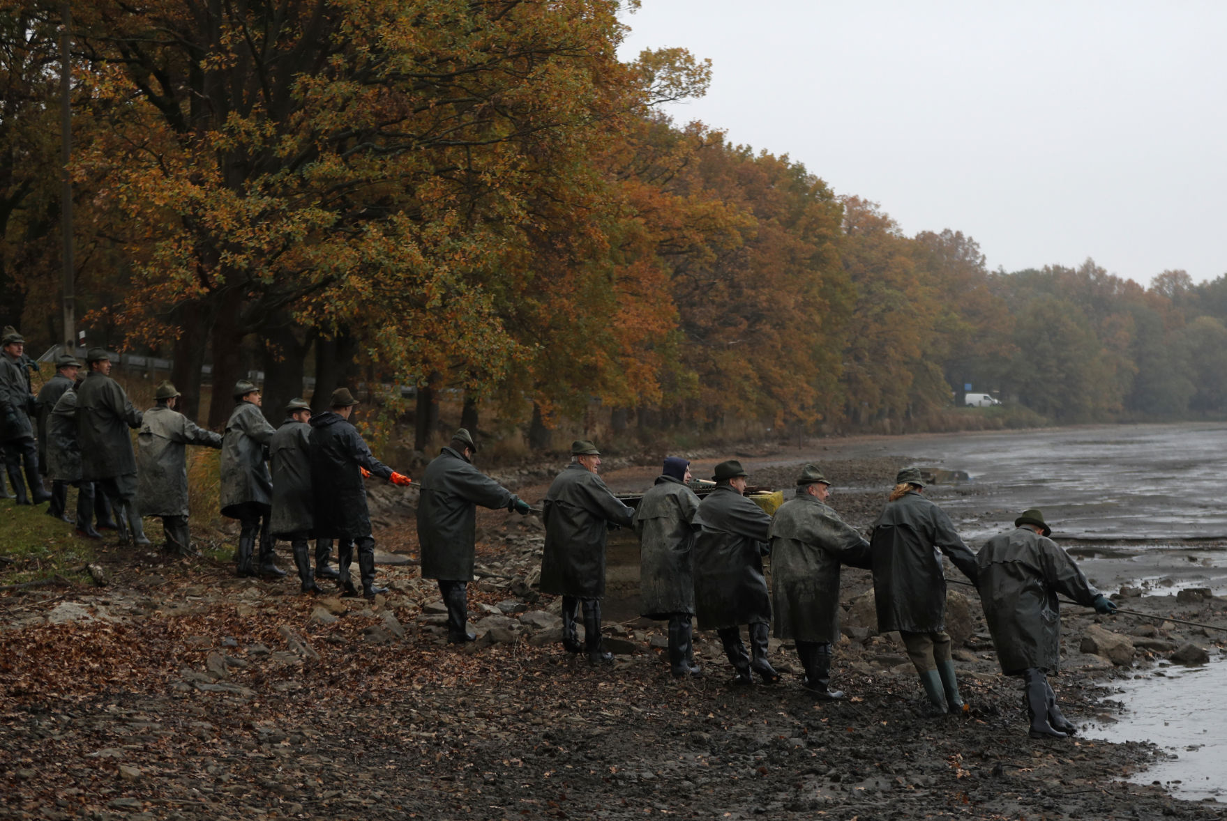 Czech Republic Carp Catching Photo Gallery